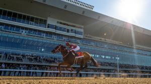 Forever Young, Jockey Club Gold Cup, Belmont Park, horse racing, America's Best Racing, ABR